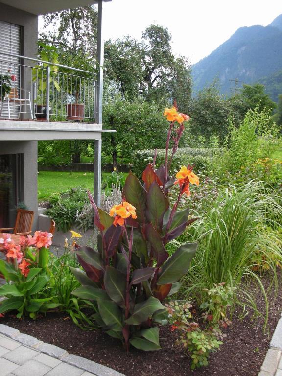 Apartment Bachmann Bludenz Exterior photo